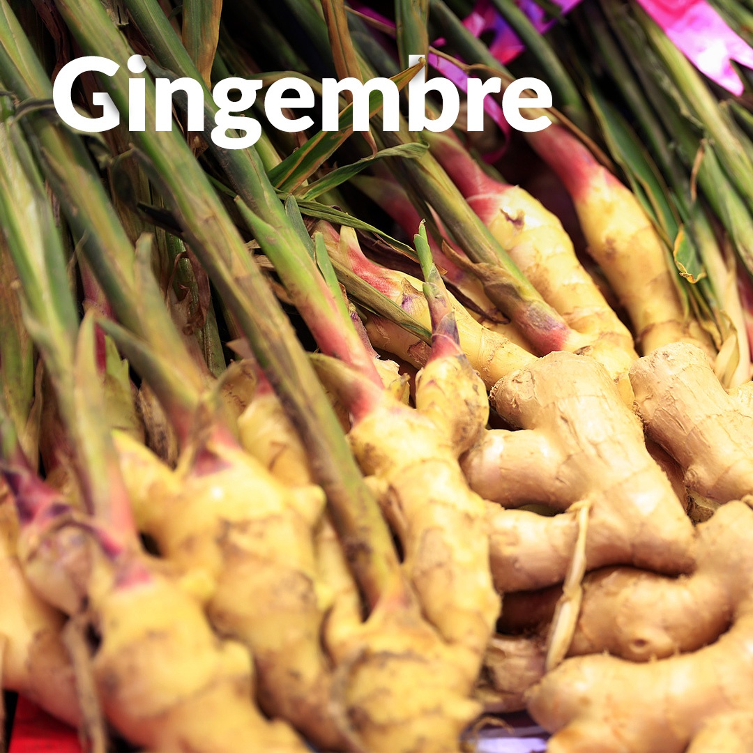Gingembre frais