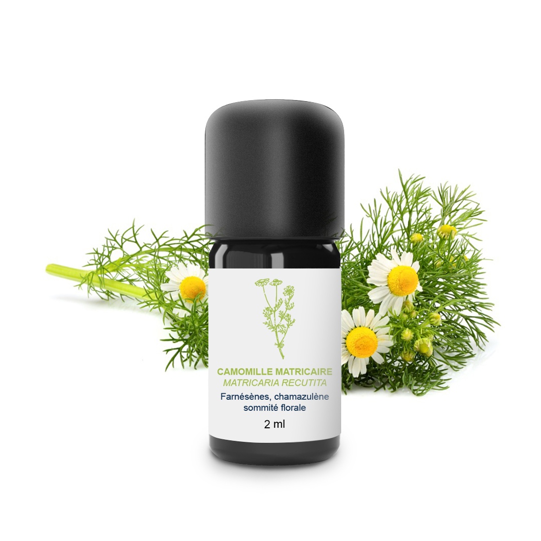 Huile Essentielle de Camomille Matricaire 100% Bio et Artisanal
