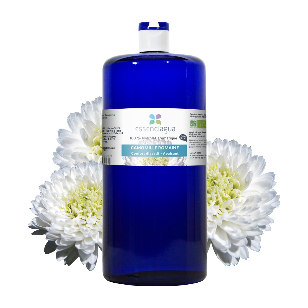 Hydrolat de Camomille romaine 100% Bio et Artisanal — photo 3