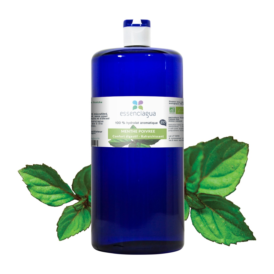 Hydrolat de Menthe poivrée 100% Bio et Artisanal — photo 3