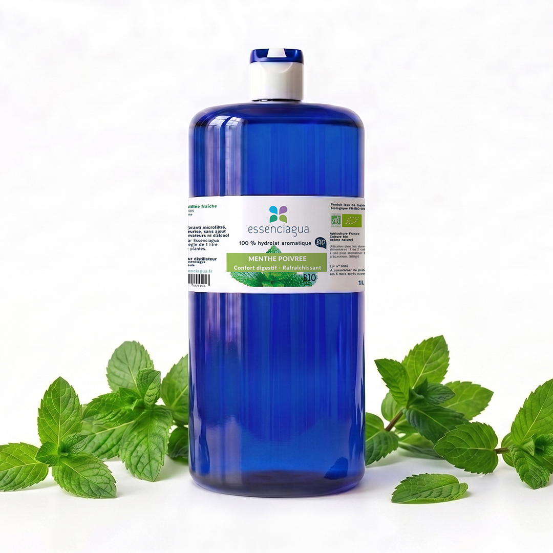 Hydrolat de Menthe poivrée 100% Bio et Artisanal — photo 3