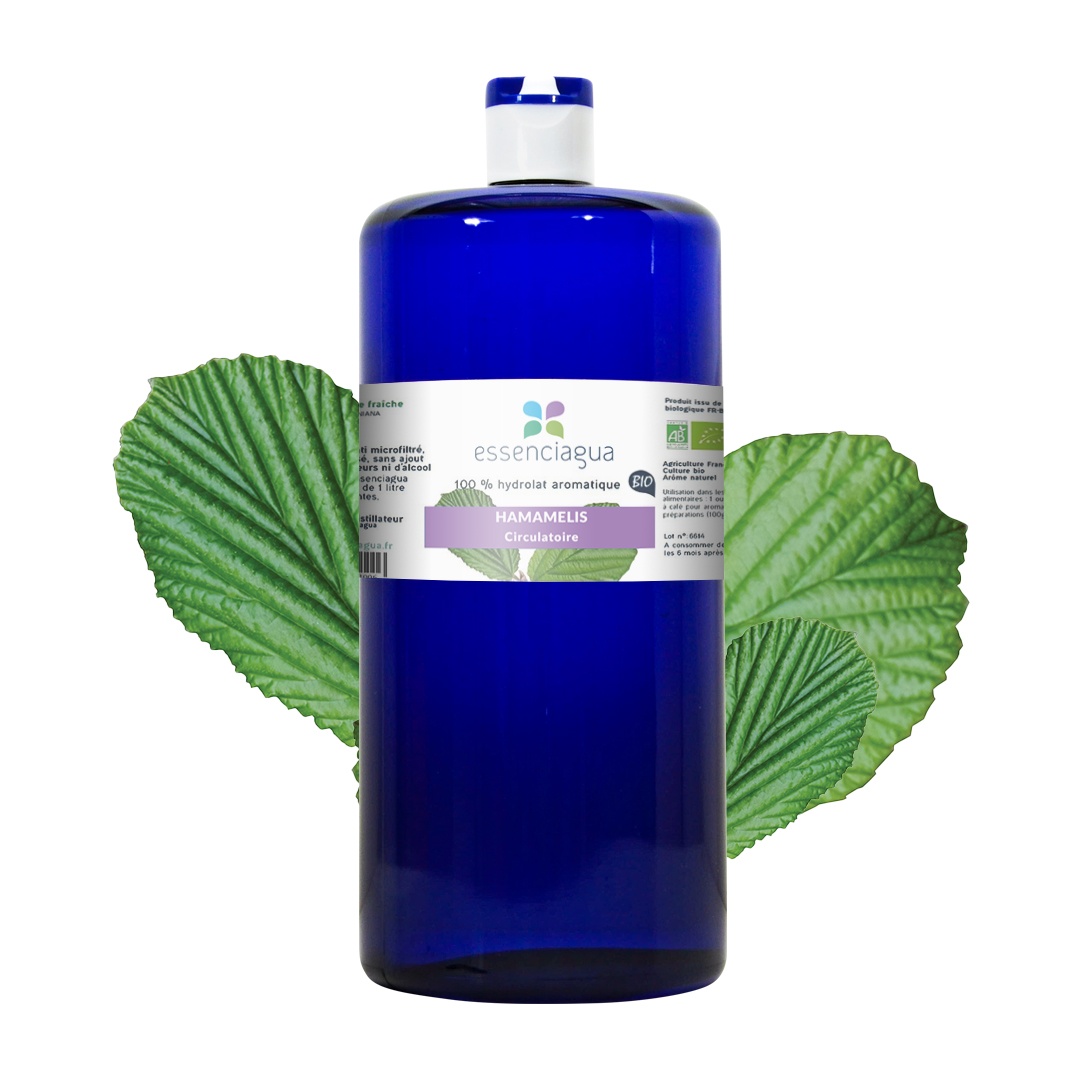 Hydrolat d'Hamamelis 100% Bio et Artisanal — photo 3