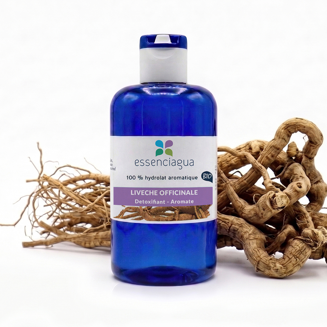Hydrolat de Livèche (Racine) 100% Bio et Artisanal