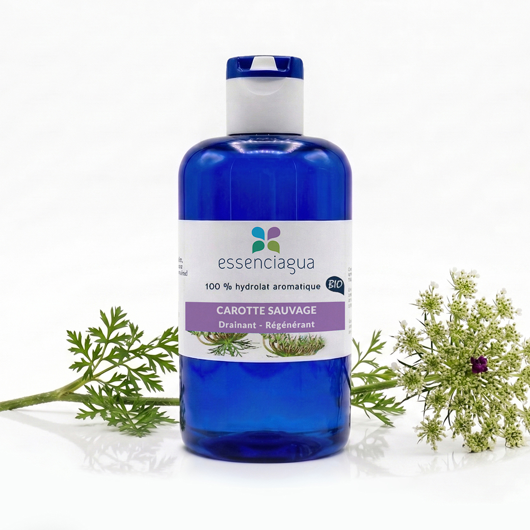 Hydrolat de Carotte sauvage 100% Bio et Artisanal