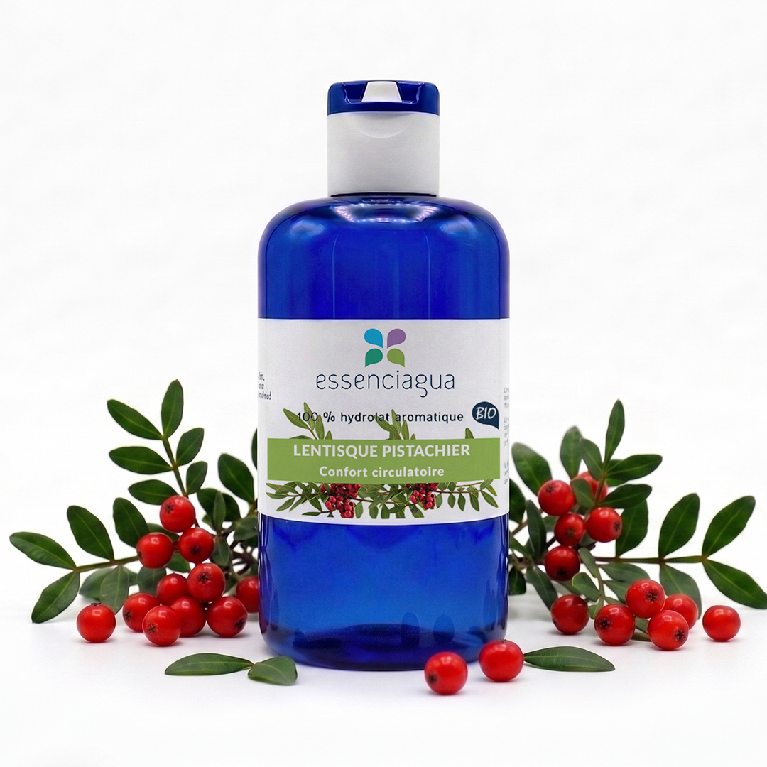 Hydrolat de Lentisque pistachier 100% Bio et Artisanal