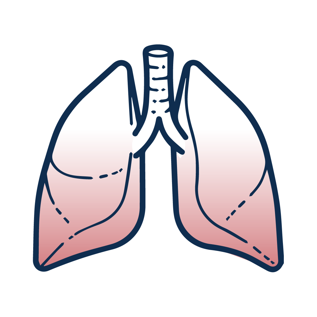 Allergies Respiratoires