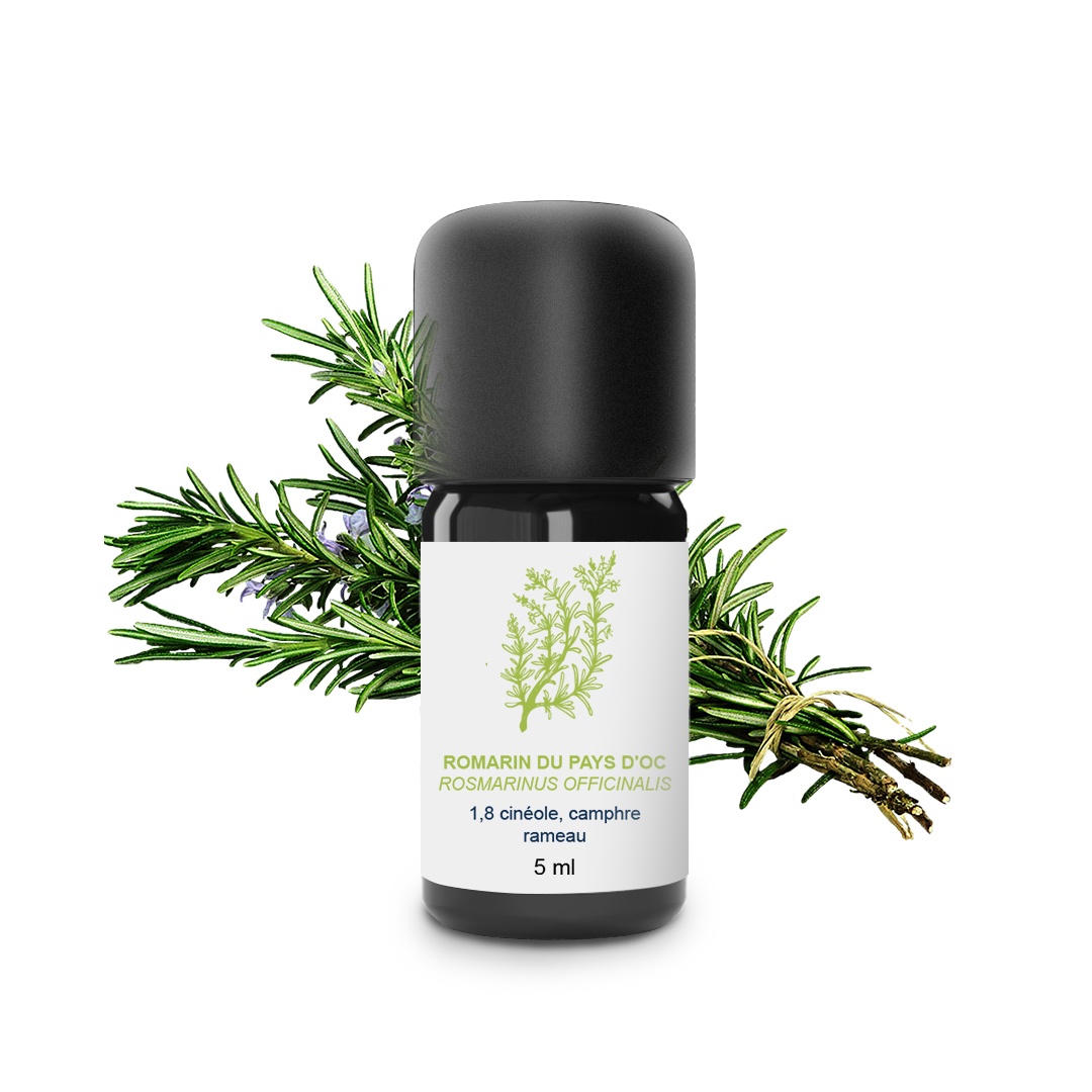 Huile Essentielle de Romarin du Pays d'Oc 100% Bio et Artisanal