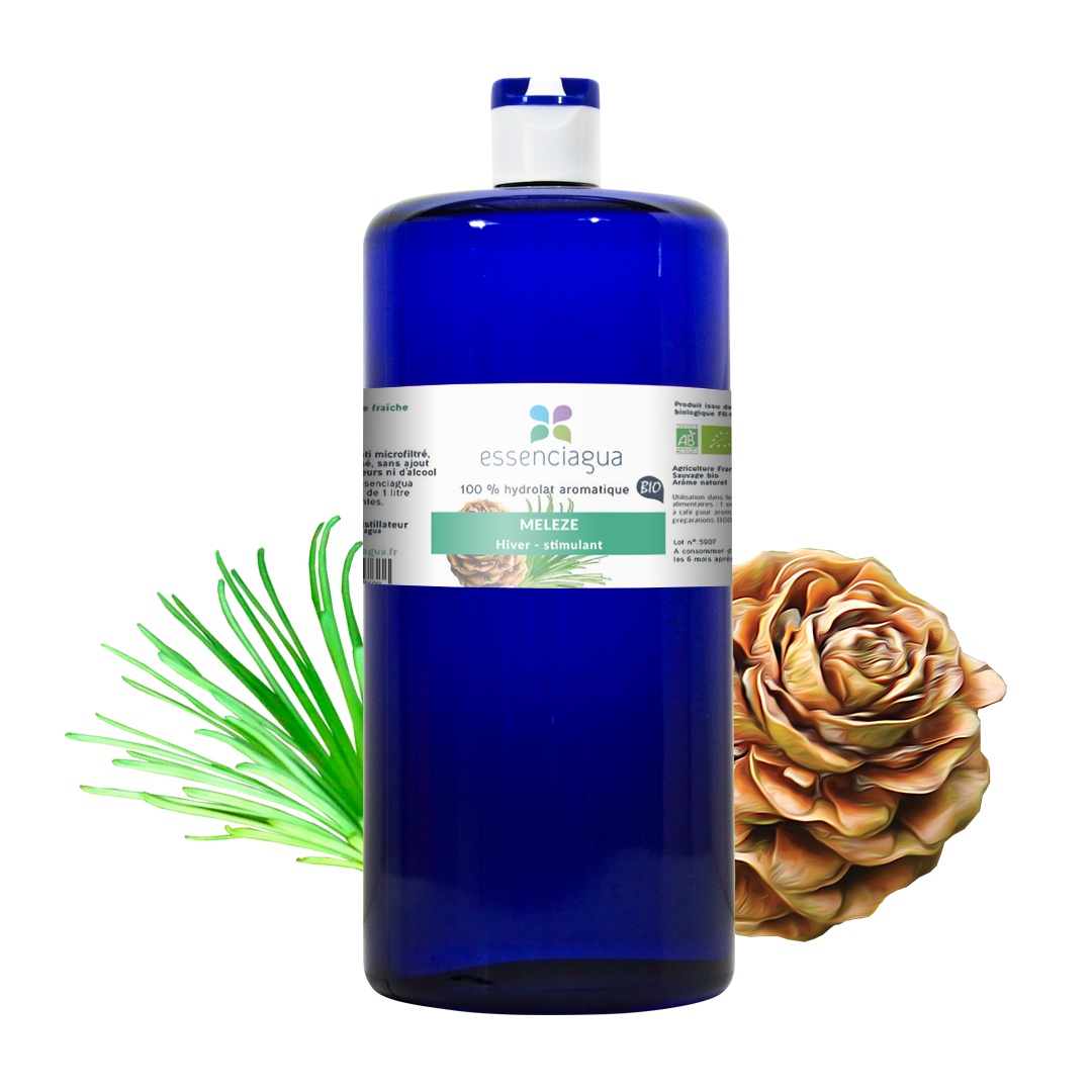 Hydrolat de Mélèze 100% Bio et Artisanal — photo 3