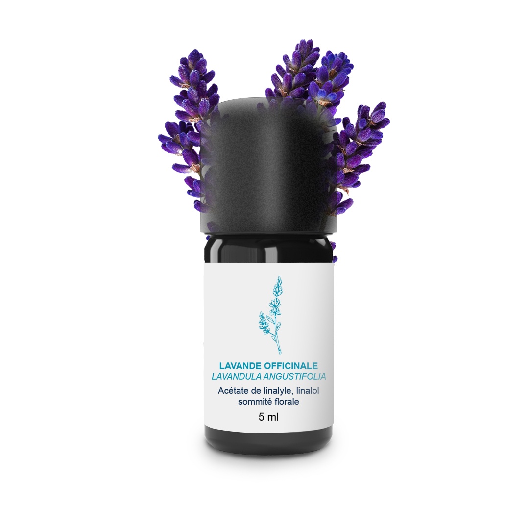 Huile Essentielle de Lavande officinale 100% Bio et Artisanal