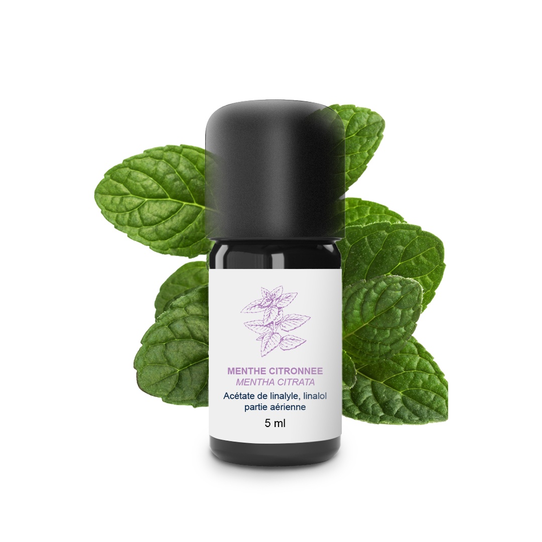 Huile Essentielle de Menthe citronnée 100% Bio et Artisanal