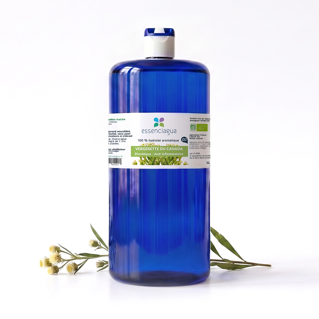 Hydrolat de Vergerette du Canada 100% Bio et Artisanal — photo 3