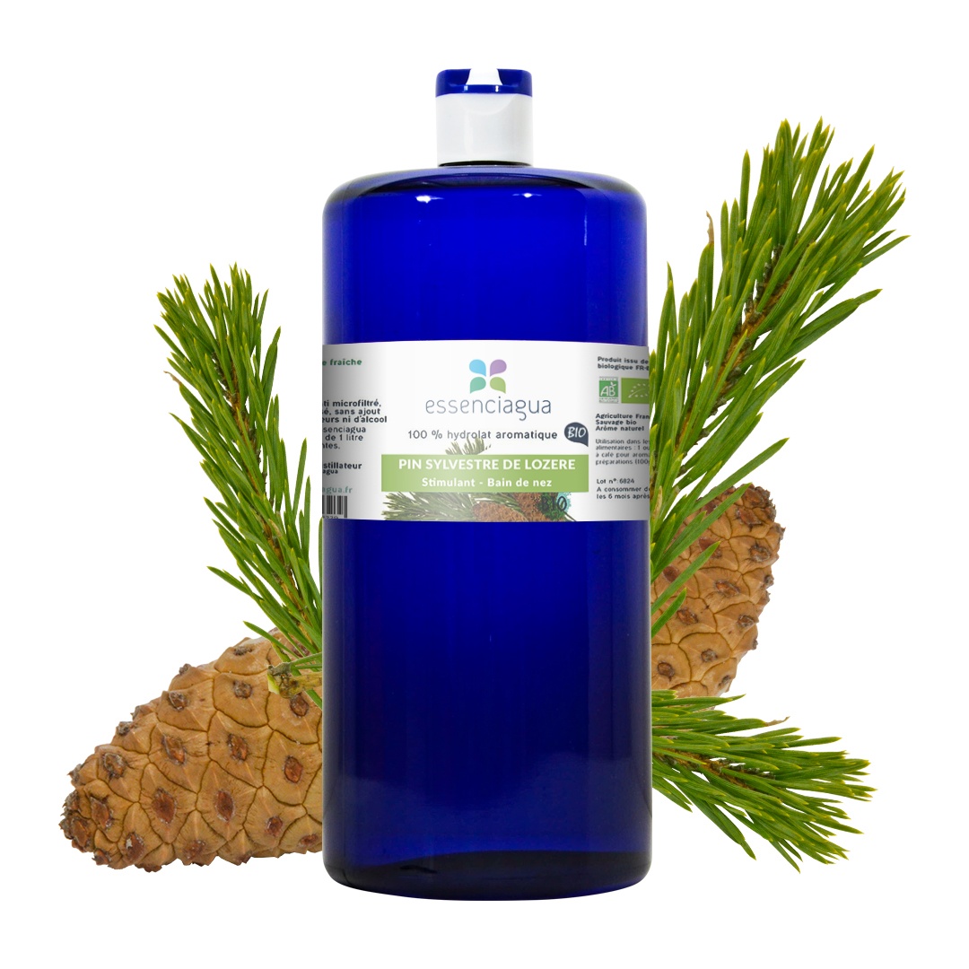 Hydrolat de Pin sylvestre 100% Bio et Artisanal — photo 3