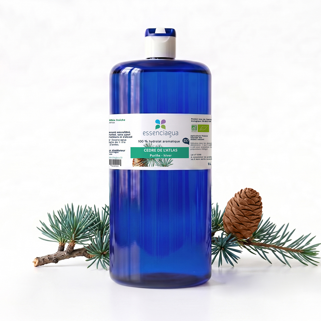 Hydrolat de Cèdre de l'Atlas 100% Bio et Artisanal — photo 3