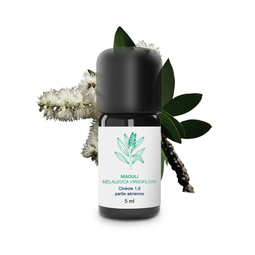 Huile Essentielle de Niaouli 100% Bio et Artisanal
