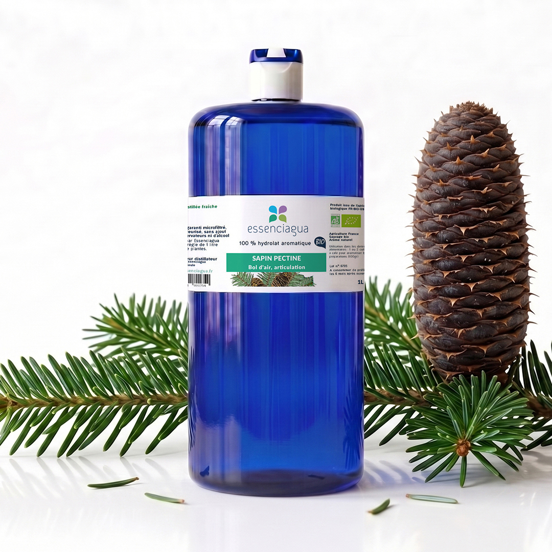 Hydrolat de Sapin pectiné 100% Bio et Artisanal — photo 3
