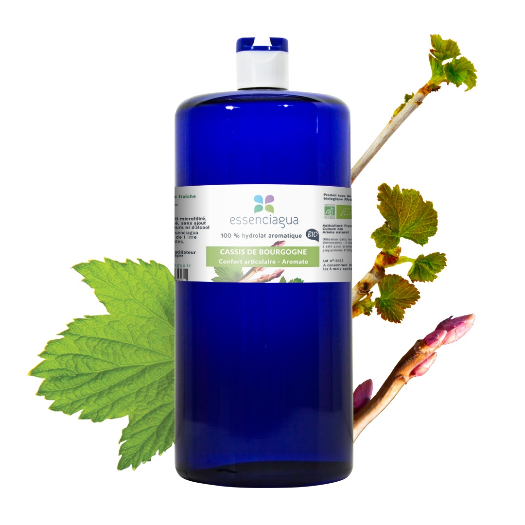 Hydrolat de Cassis de Bourgogne 100% Bio et Artisanal — photo 3