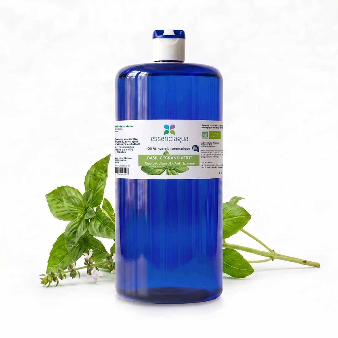 Hydrolat de Basilic grand vert 100% Bio et Artisanal — photo 3