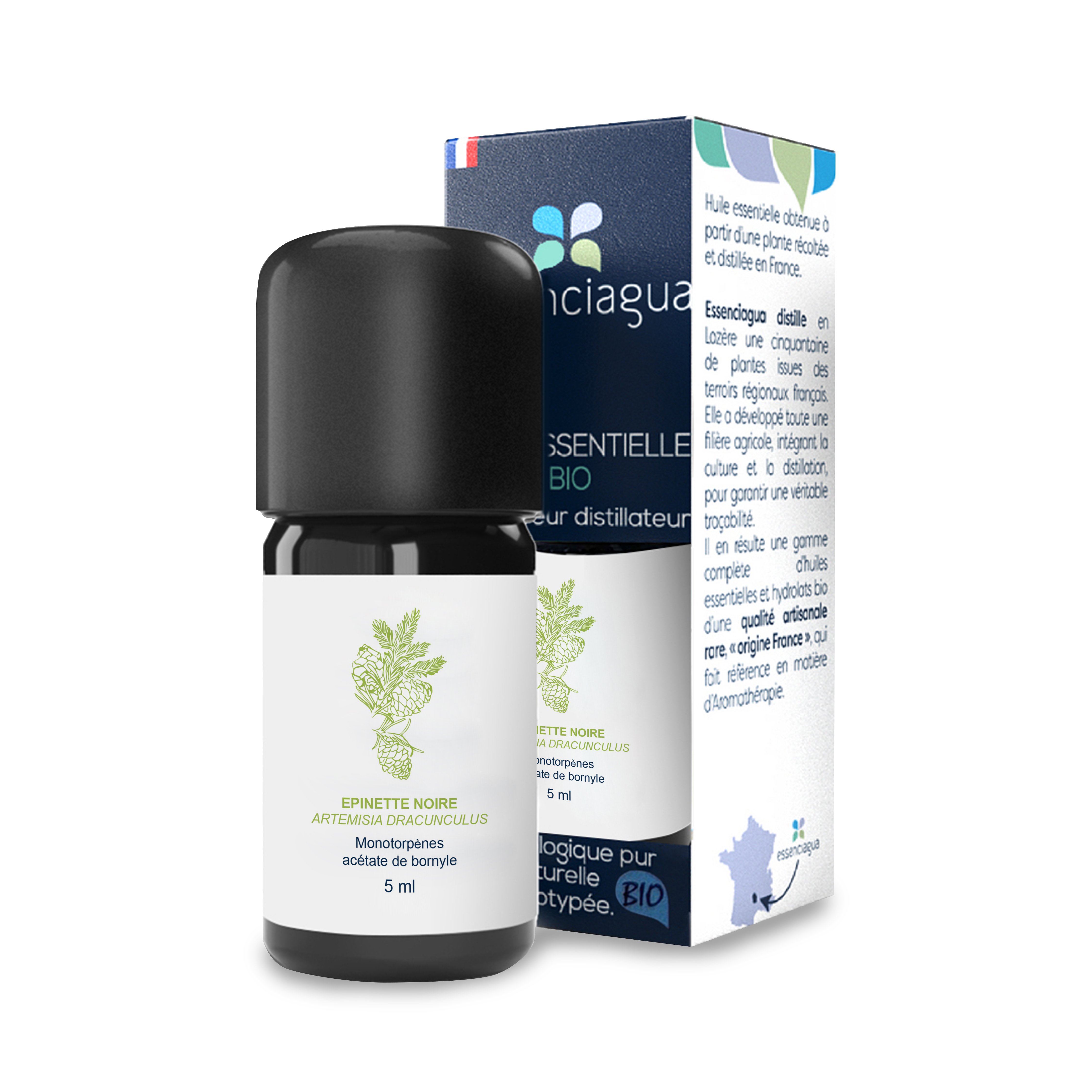 Huile Essentielle d'Epinette noire 100% Bio et Artisanal — photo 3