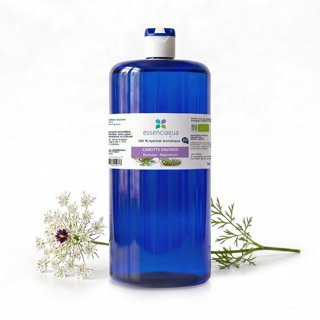 Hydrolat de Carotte sauvage 100% Bio et Artisanal — photo 3