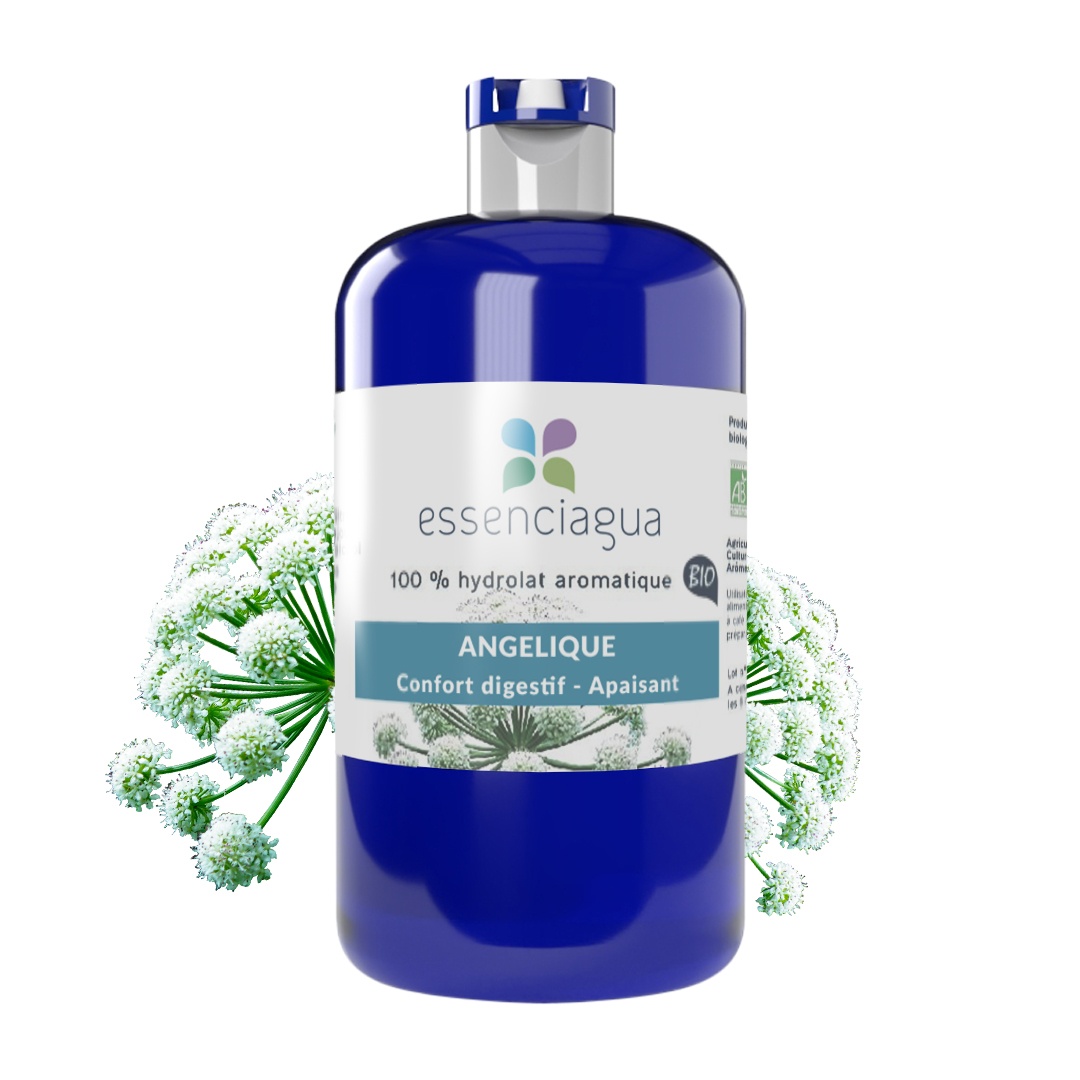 Hydrolat d'Angélique (Racine) 100% Bio et Artisanal
