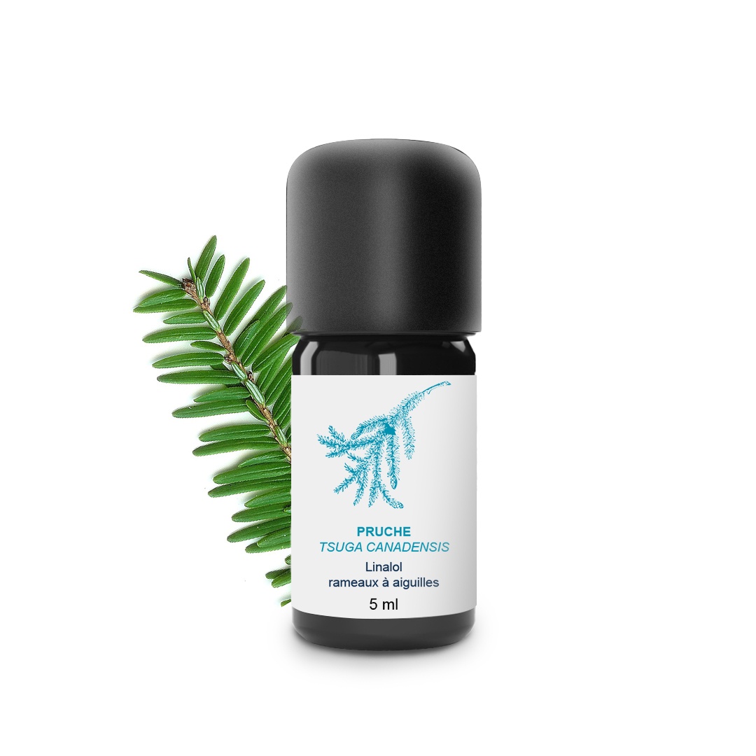 Huile Essentielle de Pruche 100% Bio et Artisanal