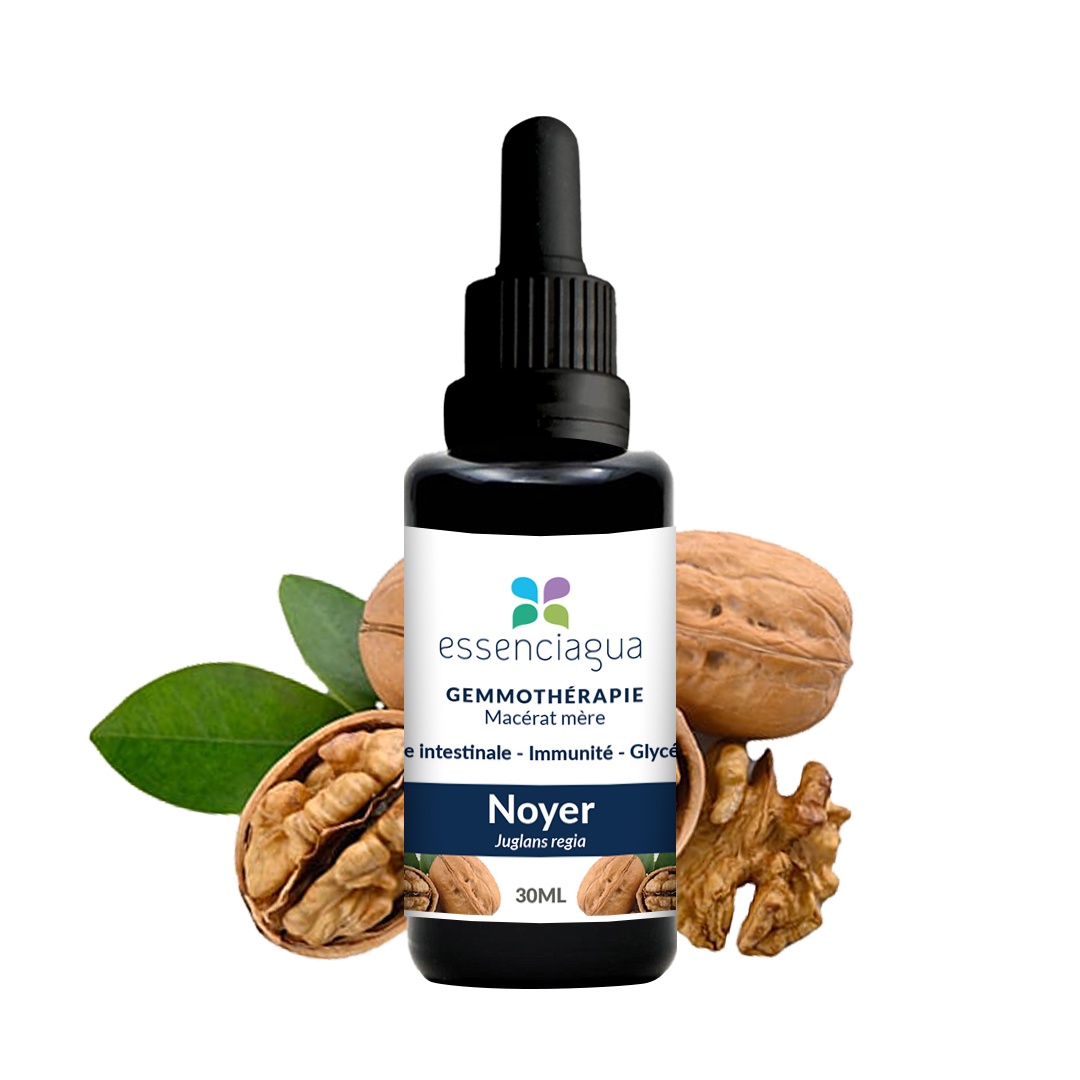 Macérat de bourgeons bio Noyer 100% Bio et Artisanal