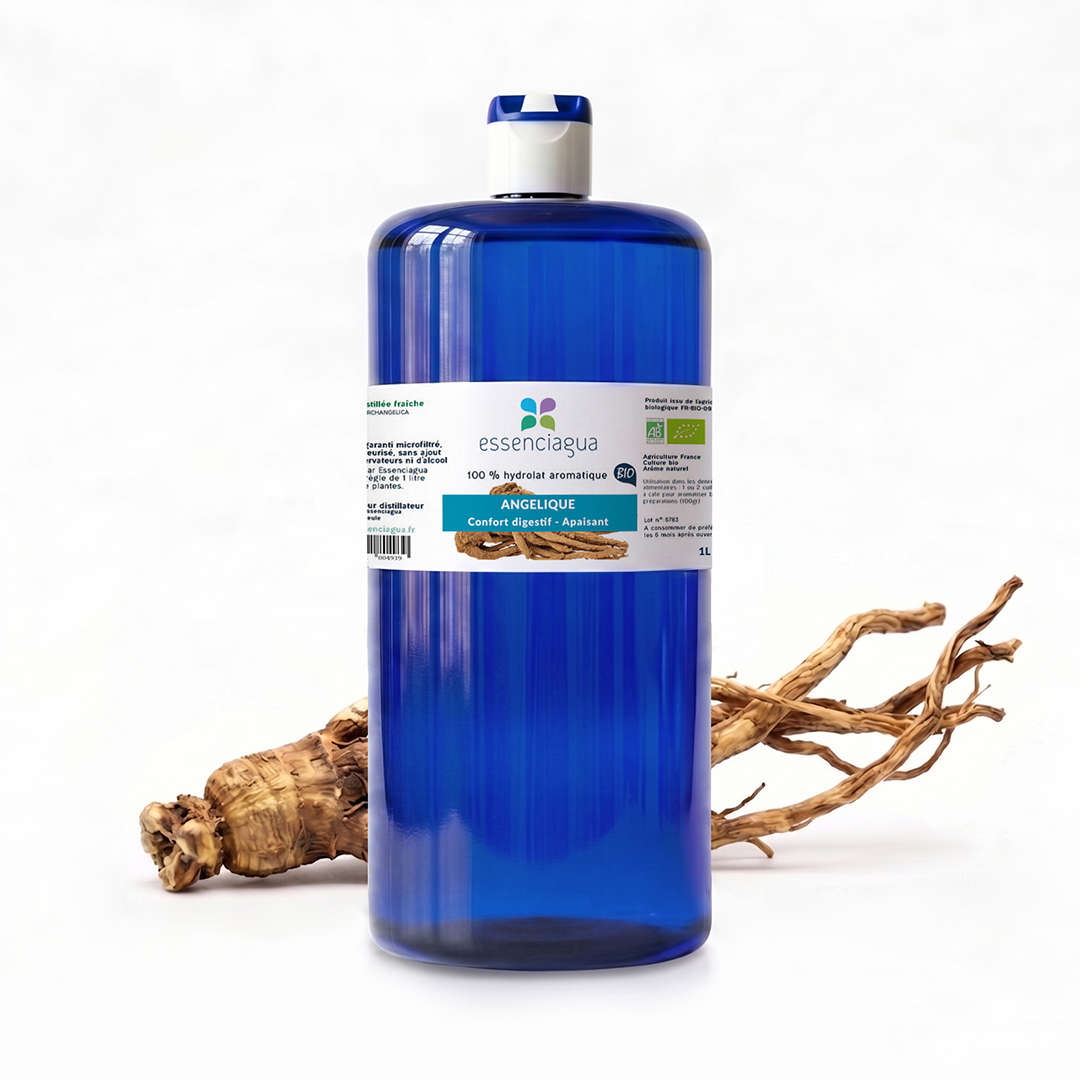 Hydrolat d'Angélique (Racine) 100% Bio et Artisanal — photo 3