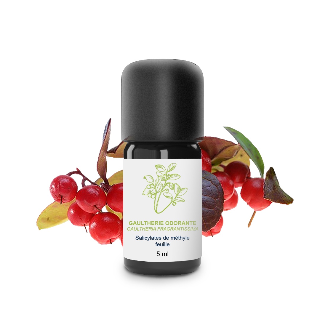 Huile Essentielle de Gaulthérie Odorante 100% Bio et Artisanal