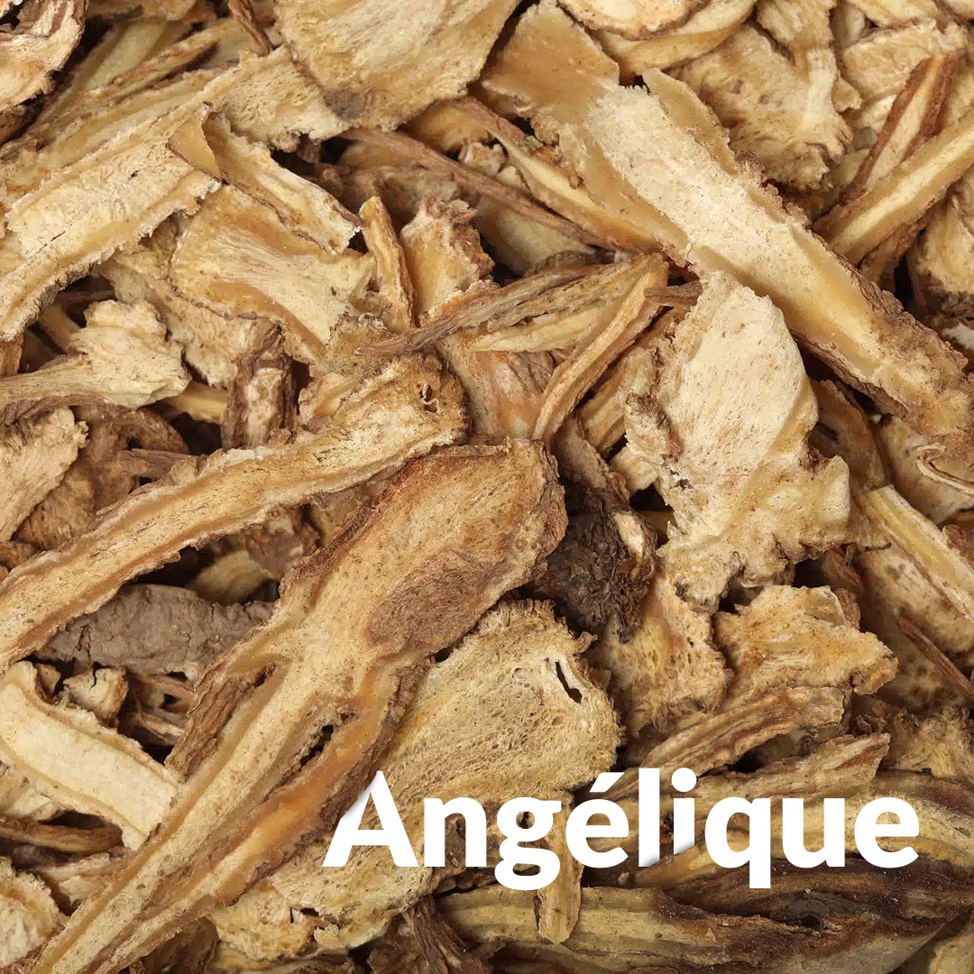 Angélique (Racine)