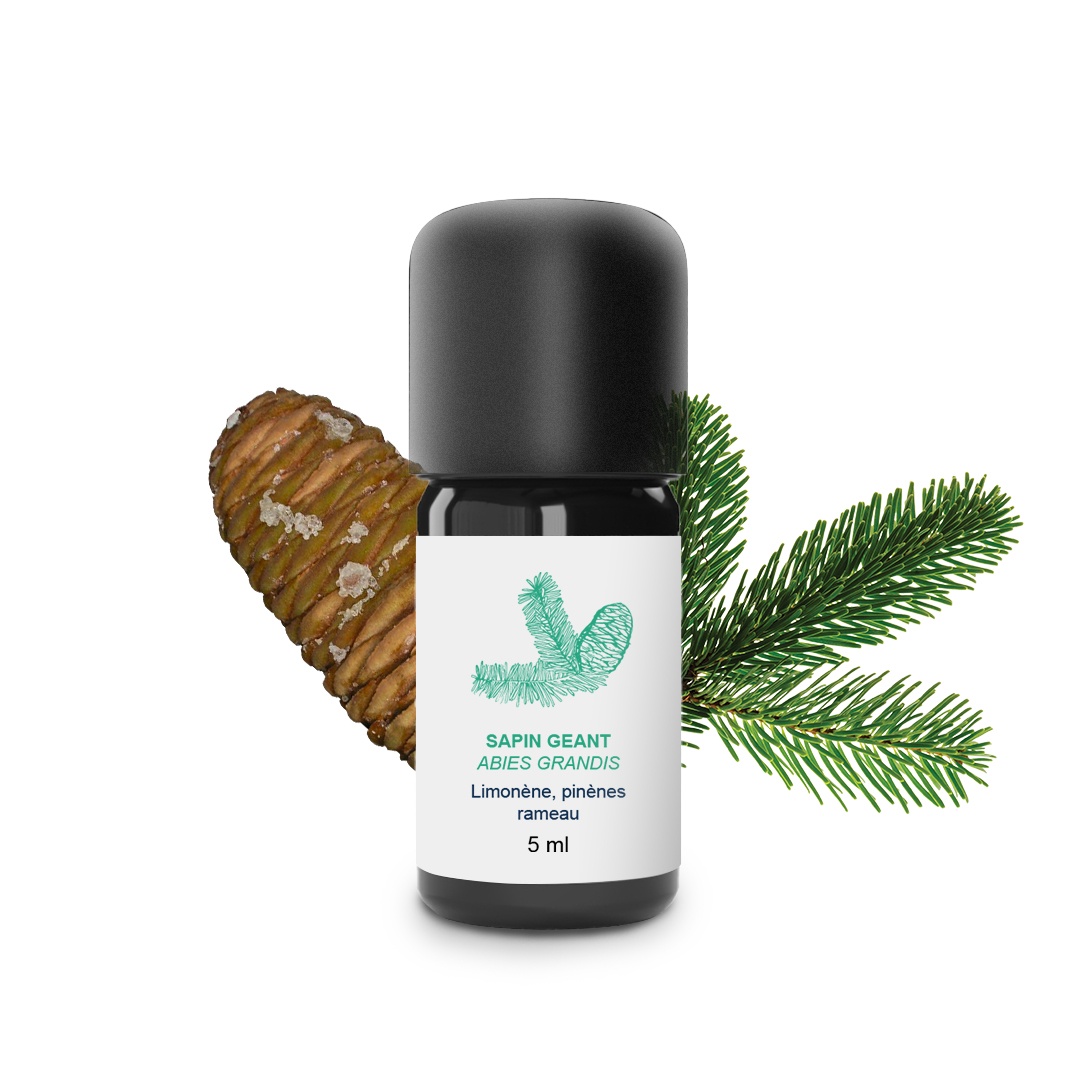 Kit Inhalateur en bambou - Allergies 100% Bio et Artisanal — photo 3