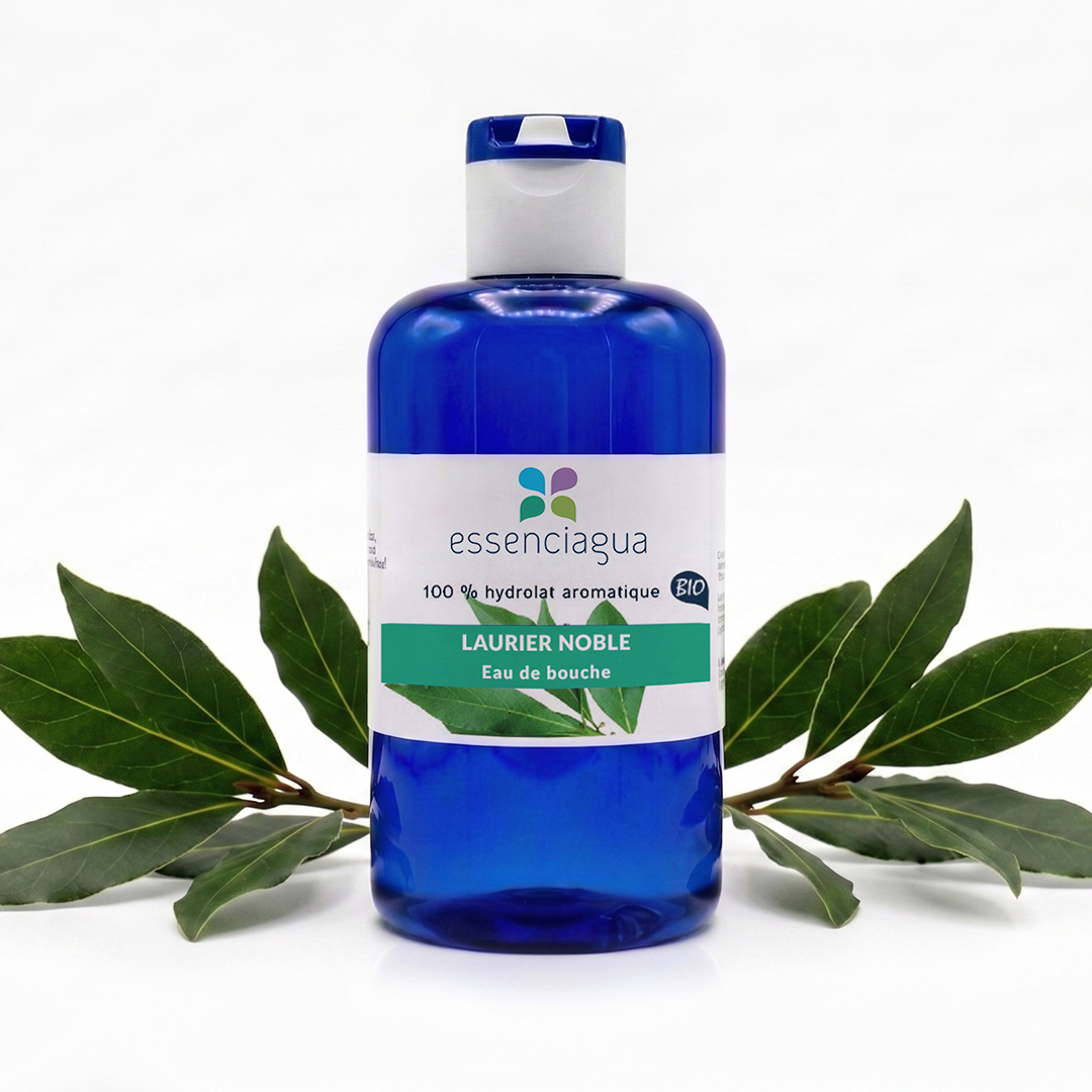Hydrolat de Laurier noble 100% Bio et Artisanal