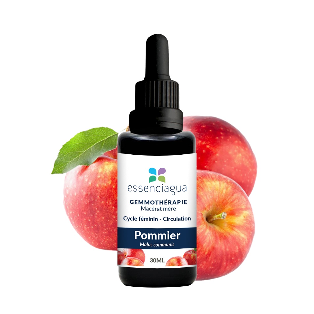 Macérat de bourgeons bio Pommier 100% Bio et Artisanal