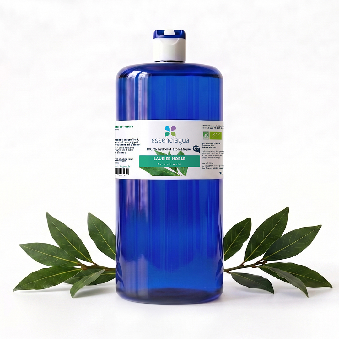 Hydrolat de Laurier noble 100% Bio et Artisanal — photo 3