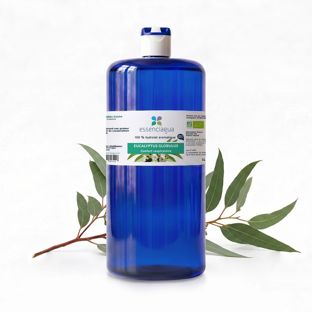 Hydrolat d'Eucalyptus globulus 100% Bio et Artisanal — photo 3