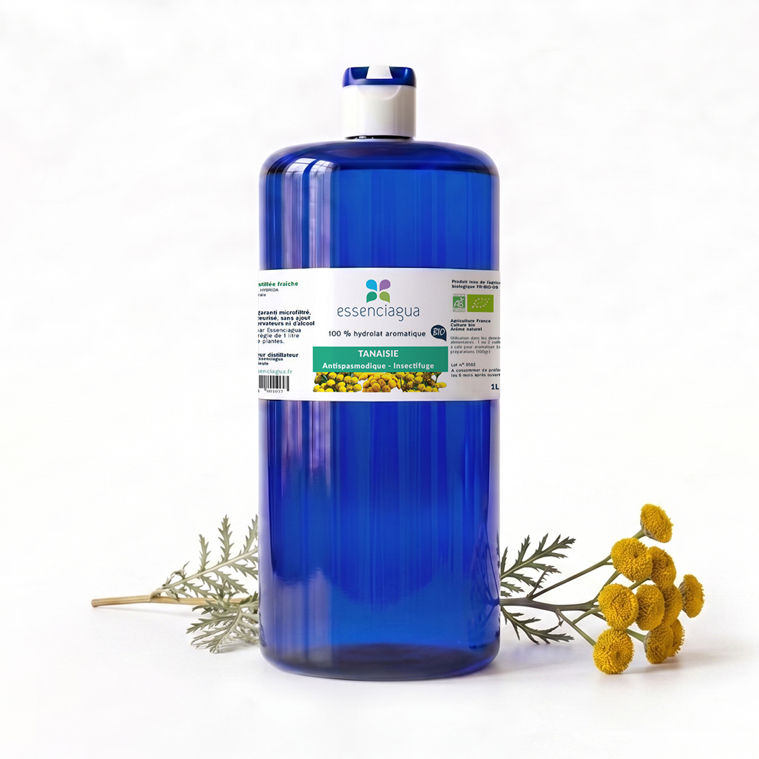 Hydrolat de Tanaisie 100% Bio et Artisanal — photo 3