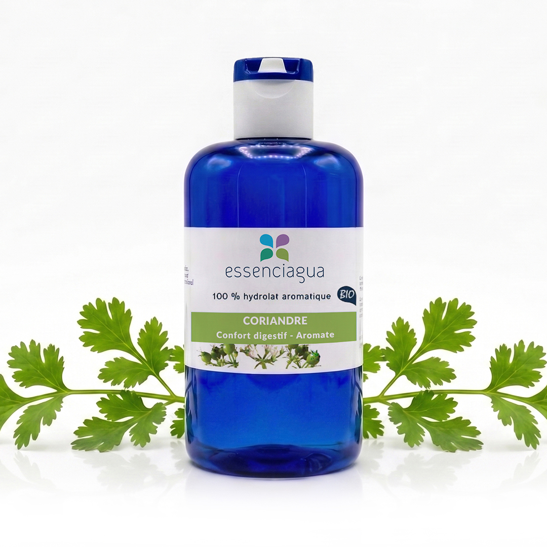 Hydrolat de Coriandre (Graines) 100% Bio et Artisanal