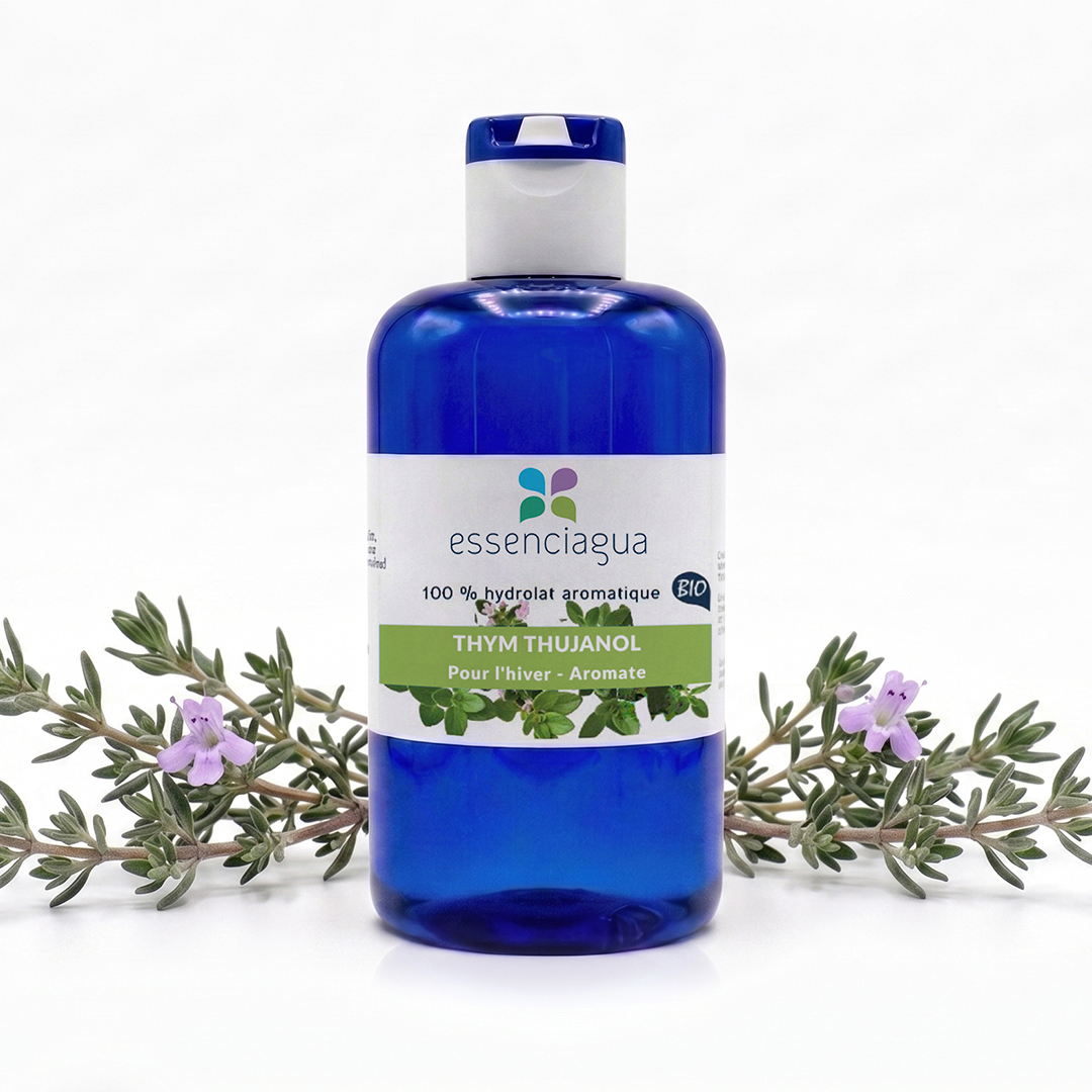Hydrolat de Thym thujanol 100% Bio et Artisanal