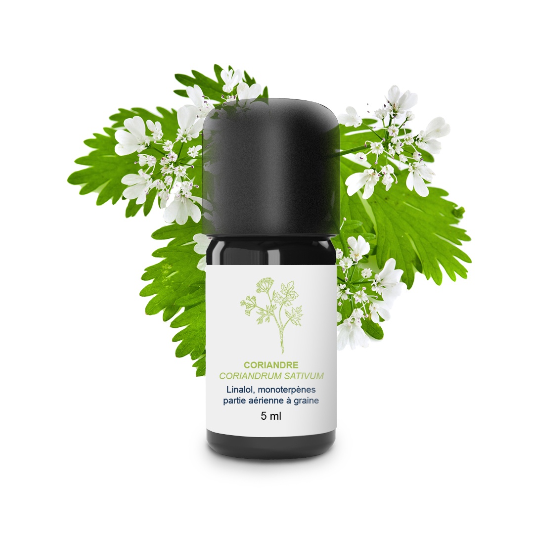 Huile Essentielle de Coriandre (Graines) 100% Bio et Artisanal