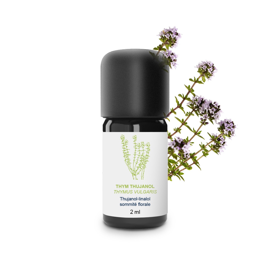 Huile Essentielle de Thym thujanol 100% Bio et Artisanal
