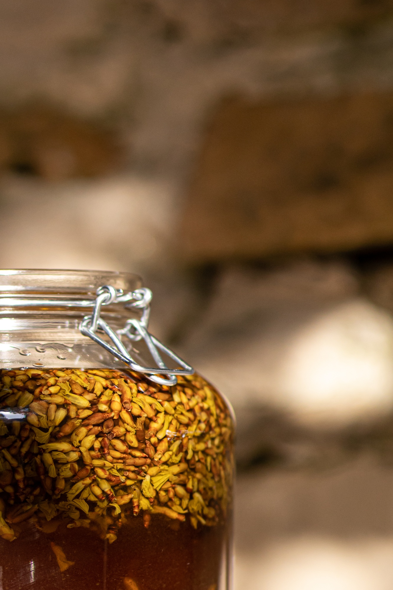 Decouvrez la distillation Macérat de bourgeons bio Cassis 100% Bio et Artisanal