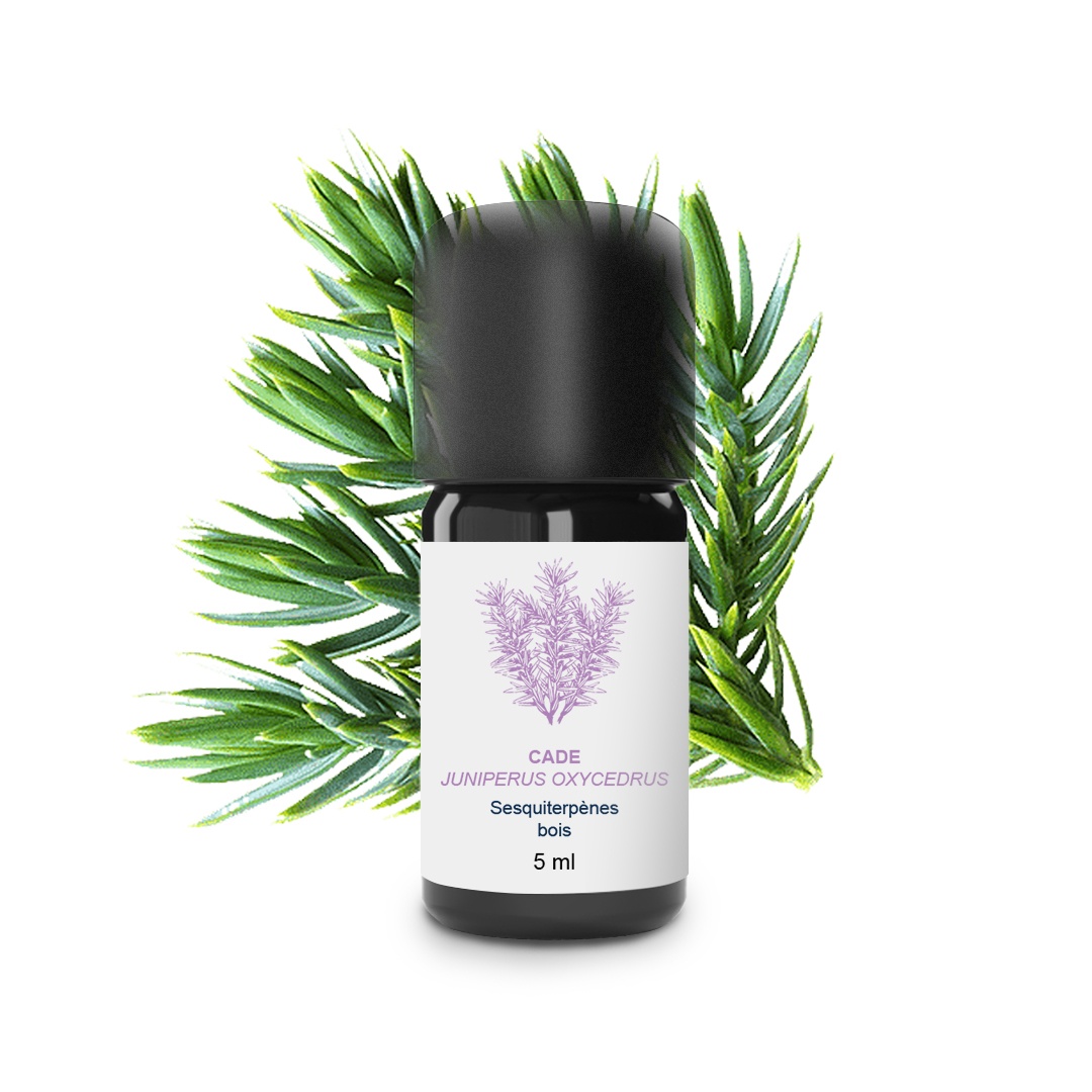 Huile Essentielle de Cade 100% Bio et Artisanal