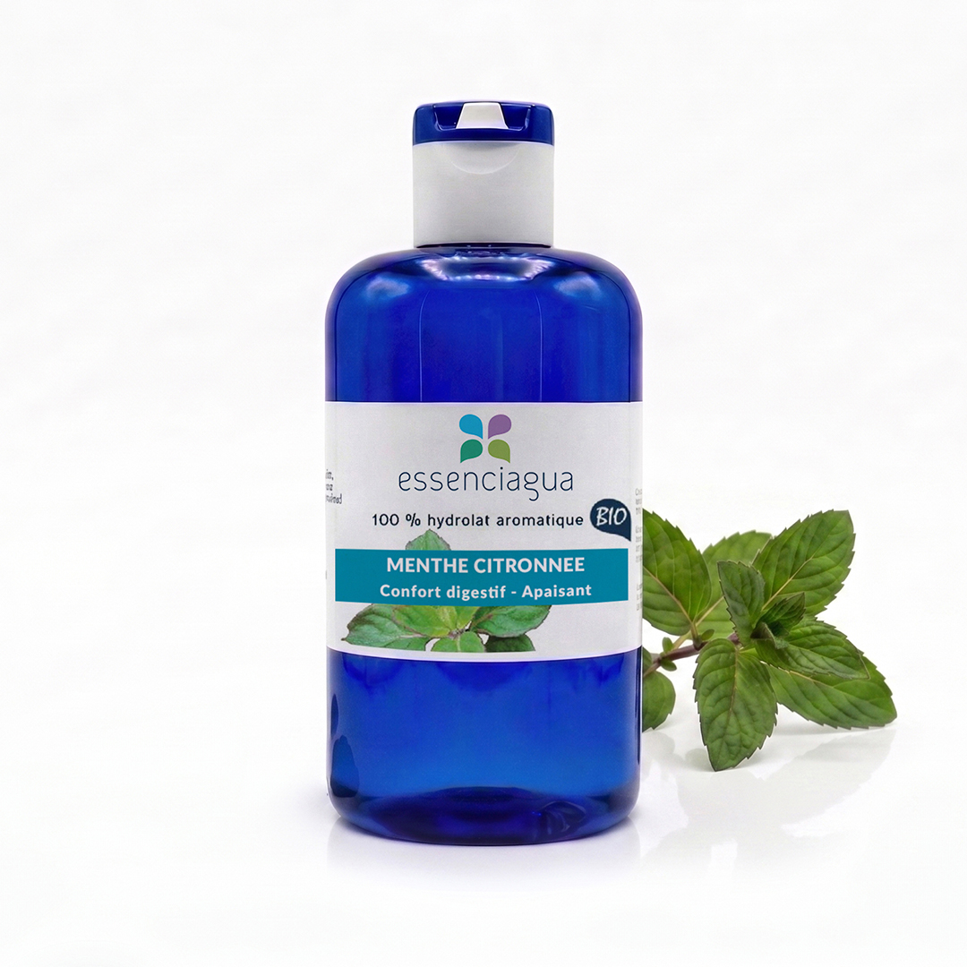 Hydrolat de Menthe citronnée 100% Bio et Artisanal