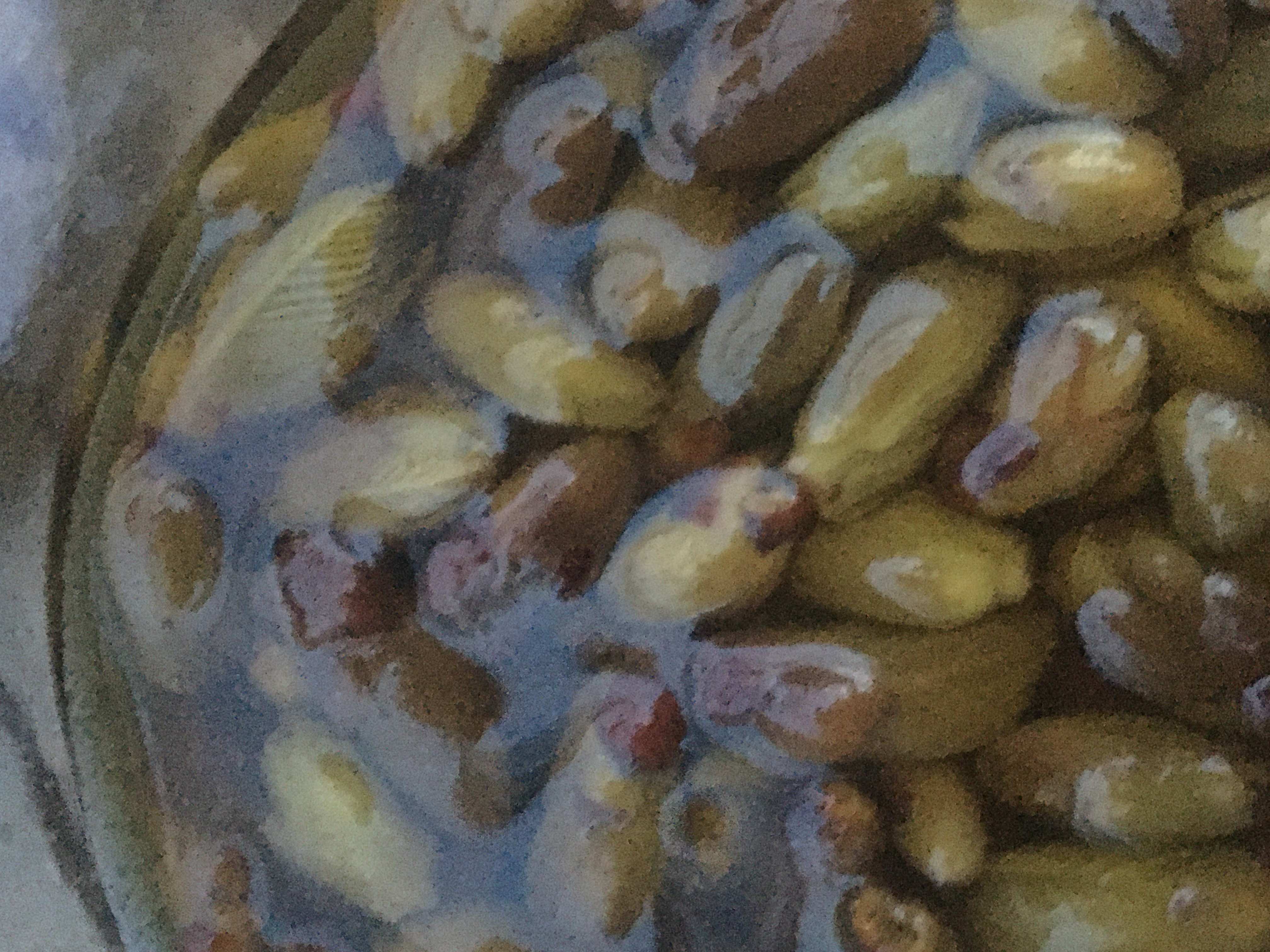 Decouvrez la distillation Macérat de bourgeons bio Tilleul argenté 100% Bio et Artisanal