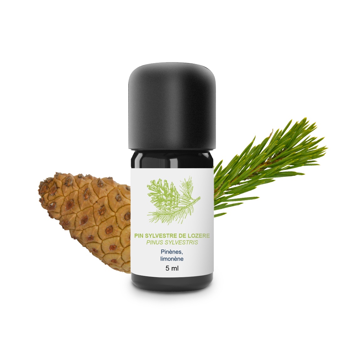 Kit Inhalateur en bambou - Allergies 100% Bio et Artisanal — photo 4