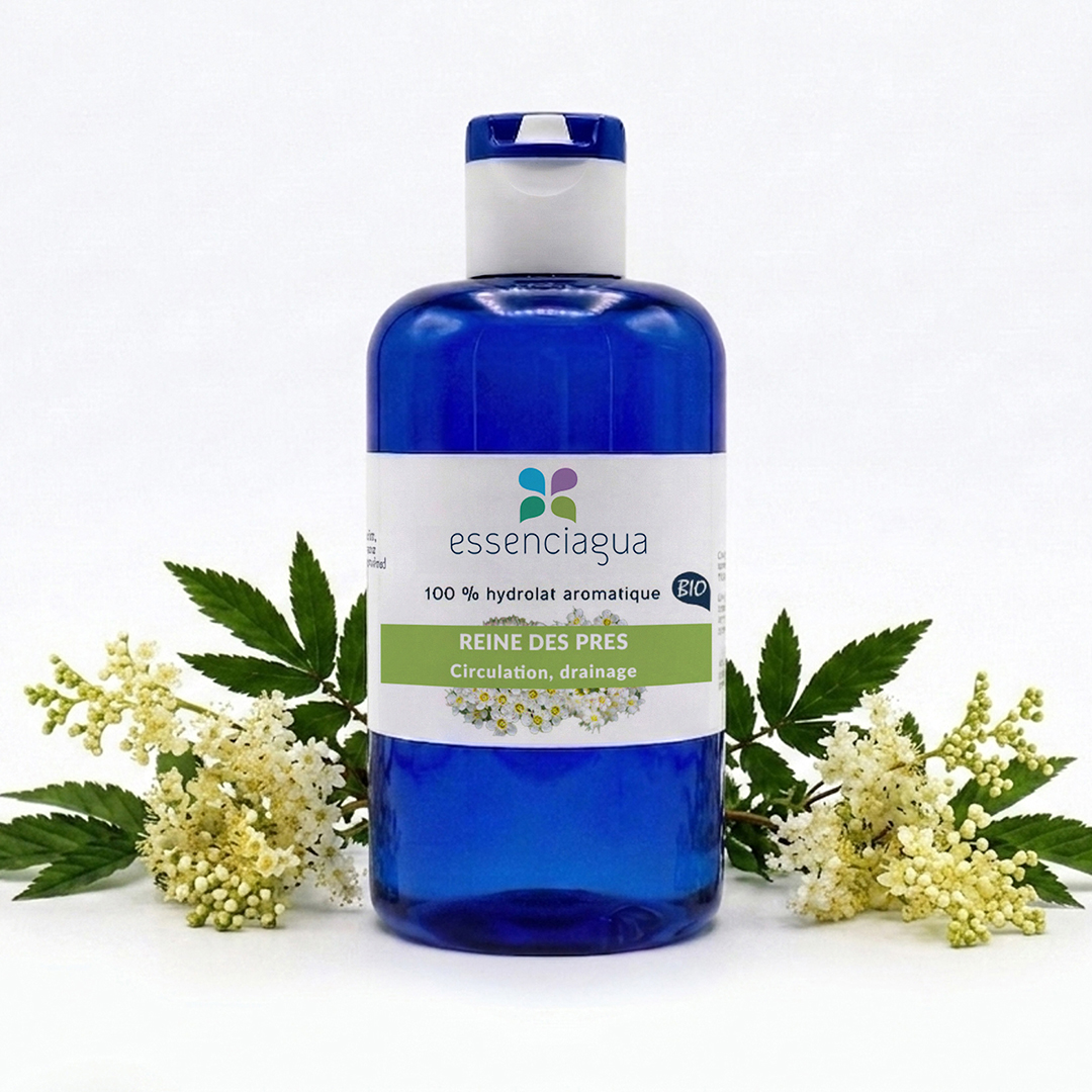 Hydrolat de Reine des prés 100% Bio et Artisanal