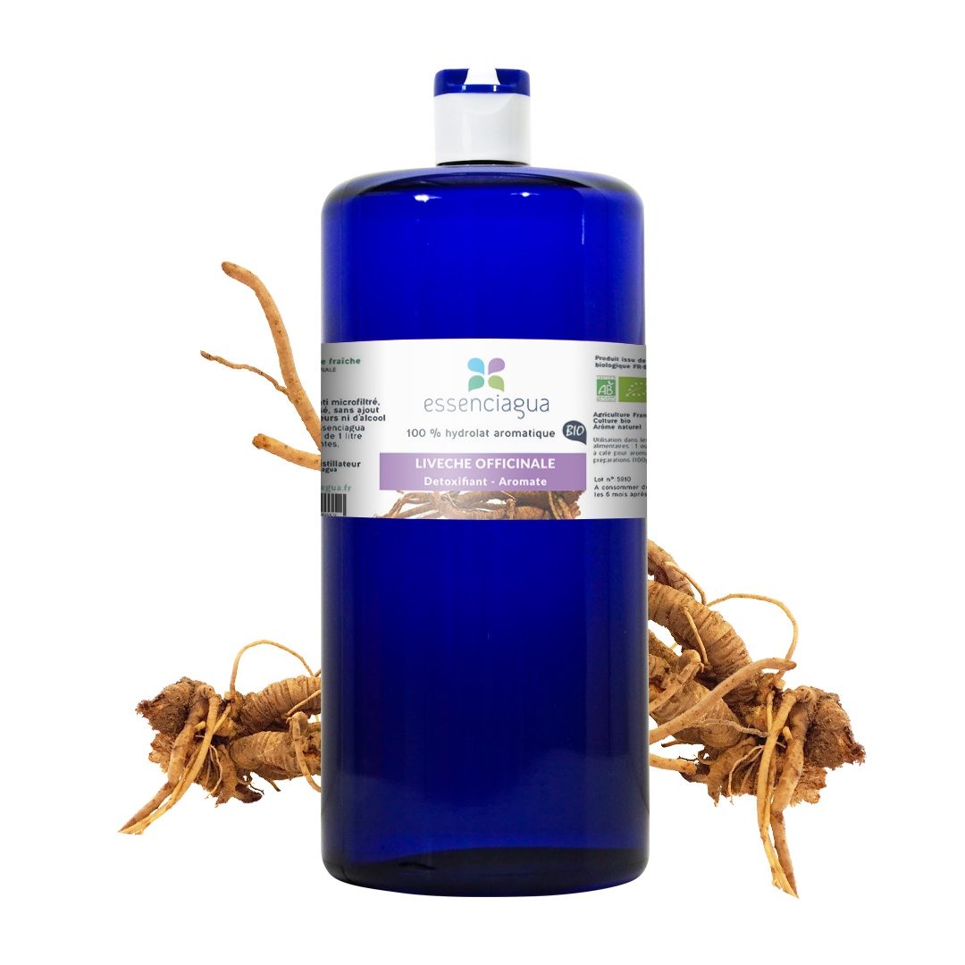 Hydrolat de Livèche (Racine) 100% Bio et Artisanal — photo 3