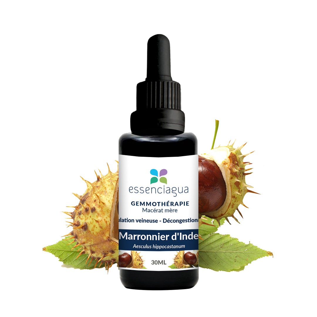 Macérat de bourgeons bio Marronnier d’Inde 100% Bio et Artisanal