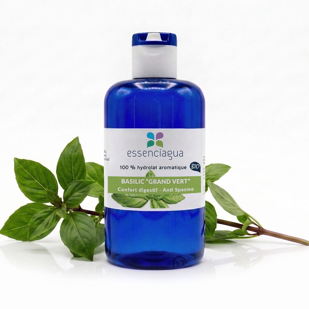Hydrolat de Basilic grand vert 100% Bio et Artisanal