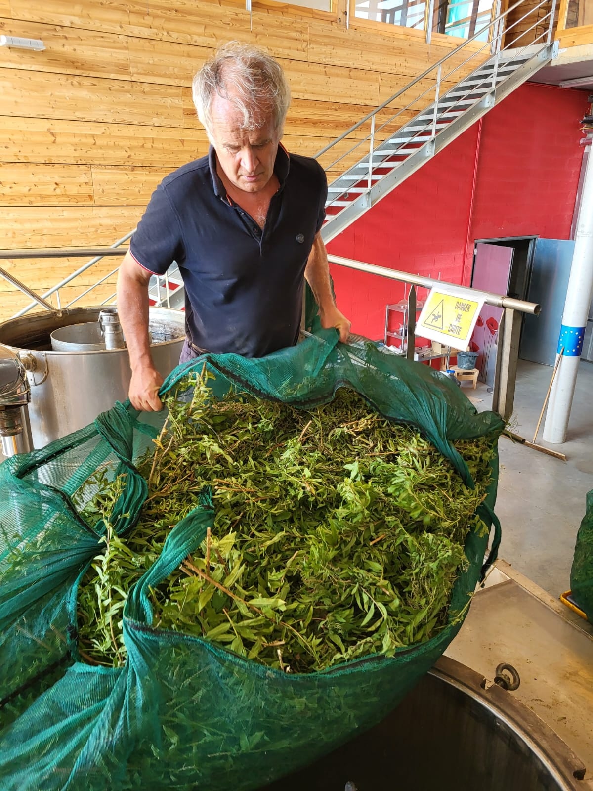 Decouvrez la distillation Hydrolat de Verveine citronnée 100% Bio et Artisanal