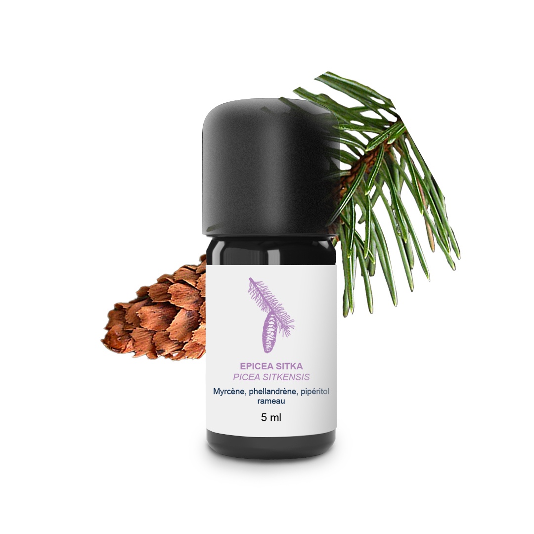 Huile Essentielle d'Epicea sitka 100% Bio et Artisanal